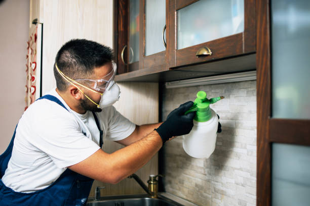 Best Rat Extermination Near Me  in Cottage Grove, WI