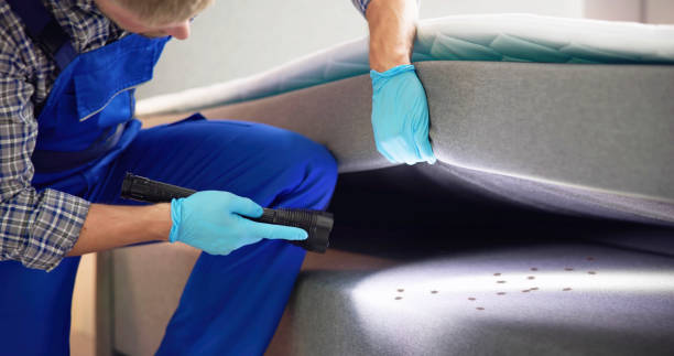 Trusted Cottage Grove, WI Pest Control Experts
