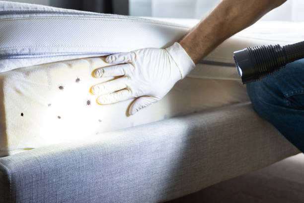 Best Wildlife Control Services  in Cottage Grove, WI