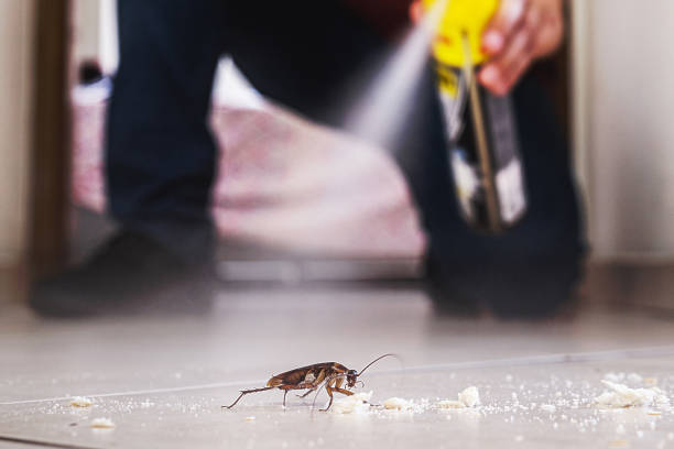 Best Commercial Pest Control Services  in Cottage Grove, WI